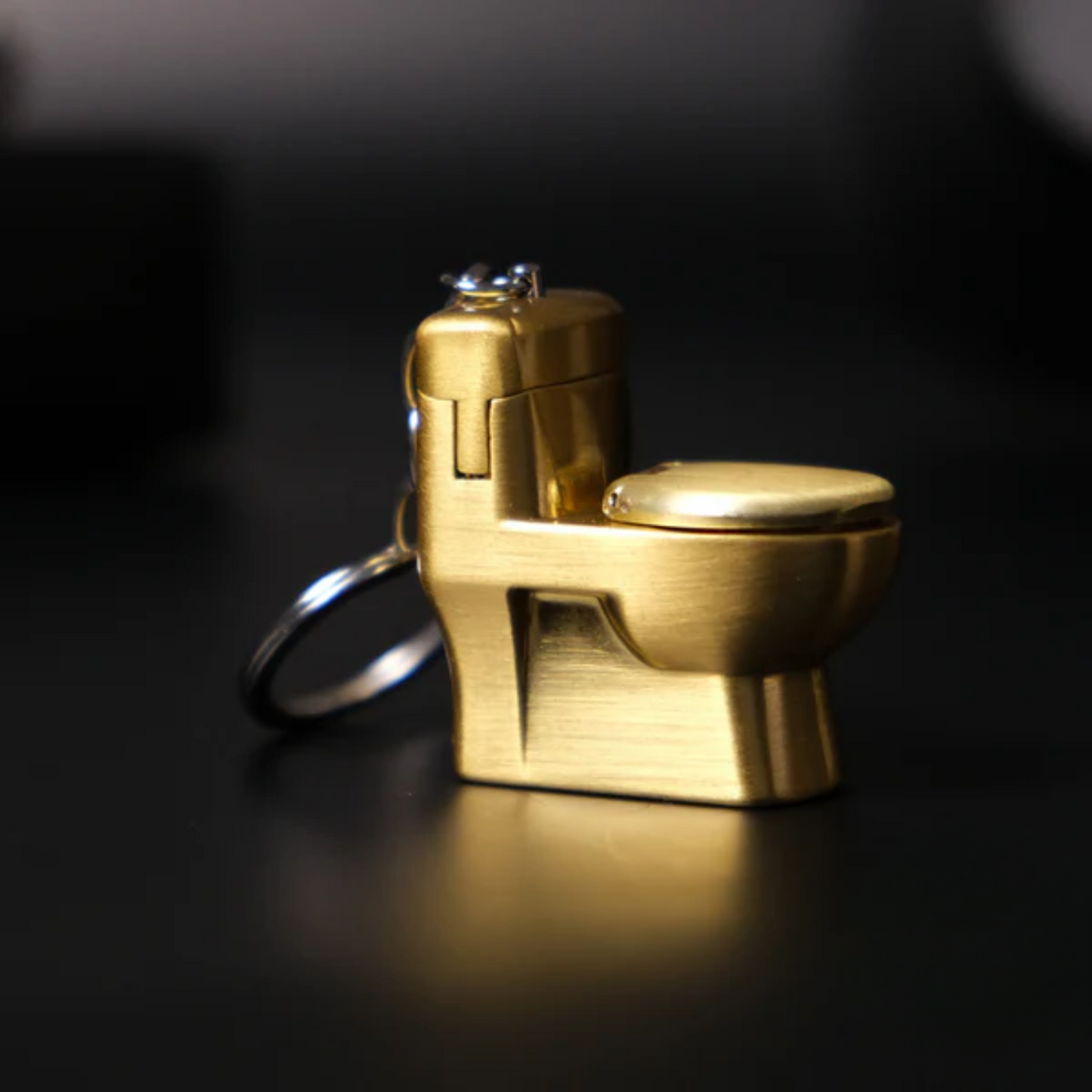 Toilet Lighter